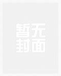 来玩黄油恋爱游戏吧（海贼王版）